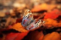 A colorful butterfly perched on a green leaf Royalty Free Stock Photo