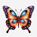 Colorful Butterfly Rainbow Wingspan Royalty Free Stock Photo