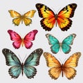 Colorful Butterfly Set: Hyper-realistic Animal Illustrations On Transparent Background Royalty Free Stock Photo