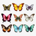 Colorful Butterfly Set: Realistic Illustration With Light And Shadow Royalty Free Stock Photo