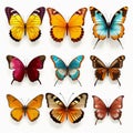 Colorful Butterfly Set Realistic Portrayal Of Light And Shadow