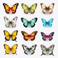 Colorful Butterfly Set On White Background - Royalty Free Vector Graphic Royalty Free Stock Photo