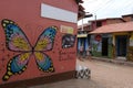 Colorful butterfly shop wall in a cobblestone road in the small quaint town of CaetÃÂª-AÃÂ§u, Chapada Diamantina, Brazil