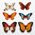 Colorful Butterfly Still Life: Hyper-realistic 3d Renderings On Transparent Background