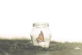 Colorful butterfly trapped in a jar Royalty Free Stock Photo