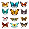 Colorful Butterflies: Hyperrealistic Vector Wildlife Portraits