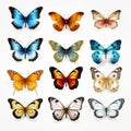 Colorful Butterfly Vector Set: Realistic Portrayal Of Light And Shadow Royalty Free Stock Photo