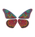 Colorful butterfly wings with intricate patterns. Abstract nature art, decorative insect design. Colorful symmetry and