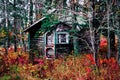 Colorful cabin in the fall