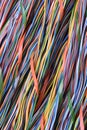 Colorful cable of computer and internet network Royalty Free Stock Photo