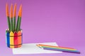 Colorful cactus Sansevieria Velvet Touch, rainbow pencils, working school drawing concept