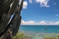 Cactus sea and blue sky Royalty Free Stock Photo