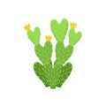 Colorful cactus and succulent plant vector illustration