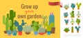 Colorful Cactuses Home Garden Concept