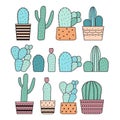 Colorful cactuses set