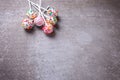 Colorful cake pops can on grey slate background. Royalty Free Stock Photo