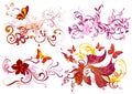 Colorful calligraphic floral elements set Royalty Free Stock Photo