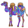 Colorful camel Royalty Free Stock Photo