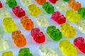 Colorful candy rubber bear Royalty Free Stock Photo