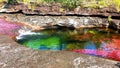 The most beautiful river in the world Cano Cristales, Serrania de la Macarena National Park, Colombia