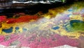 Multicolored river Cano Cristales, Serrania de la Macarena National Park, Colombia