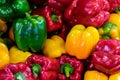 Colorful capsicum peppers Royalty Free Stock Photo