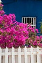 Colorful caribbean house with a picked fence Royalty Free Stock Photo