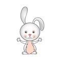 colorful caricature cute rabbit animal