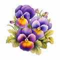 Colorful Caricature Pansies: Detailed Shading And Pastoral Charm