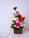 Colorful carnation flower basket for visiting patience on table