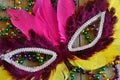 Feathered Mardi Gras mask with beads