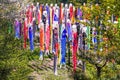 Colorful carp of Koinobori festival or carp-streamer kite to celebrate Children`s Day in Nagano Prefecture, Japan Royalty Free Stock Photo