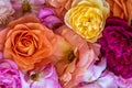 Colorful carpet of rose blossoms top view macro Royalty Free Stock Photo