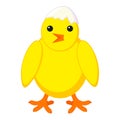 Colorful cartoon chick with shell on head Royalty Free Stock Photo