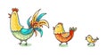 Colorful cartoon chicken family, colorful vector illustration Royalty Free Stock Photo