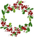 Colorful cartoon Christmas New Year berry wreath with leafs template. Vector illustration