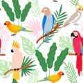 Colorful cartoon exotic parrots and tropical leaves seamless pattern. Cockatoo, macaw, colombia paradise bird. Flat wild Royalty Free Stock Photo