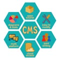 Colorful cartoon honeycomb content management system infographic