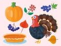 Colorful cartoon icons for thanksgiving day pumpkin holiday vector turkey design leaf season celebration