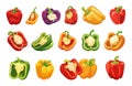 Colorful cartoon peppers. Sliced half pepper bell isolated set. Red, yellow and green fresh vegetables, vitamin organic Royalty Free Stock Photo
