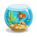 Vector aquarium. Angelfish and Danio with water, seaweed, shell, bubbles, stones.