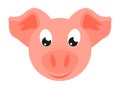 Colorful cartoon pig face