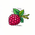 Colorful Cartoon Raspberry Illustration With Clean Lines