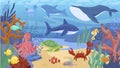 Colorful cartoon sea animals underwater panorama vector flat illustration. Tropical ocean bottom