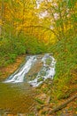 Colorful Cascade in the Fall Forest