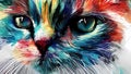 Colorful cat close-up