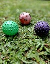 colorful cat toy balls on green grass Royalty Free Stock Photo