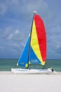 Colorful catamaran sailboat