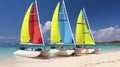 Colorful Catamarans Set Against the Caribbean Seascape