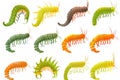 Colorful caterpillars on a white background, suitable for educational materials Royalty Free Stock Photo